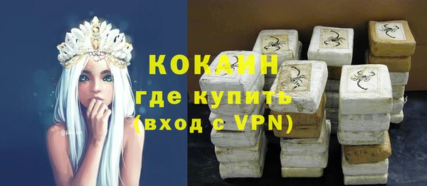 прущие грибы Богородск