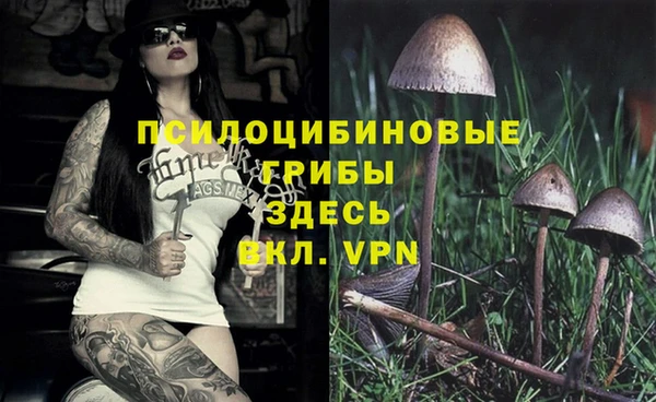 гашиш Белокуриха