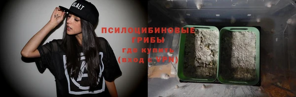 прущие грибы Богородск