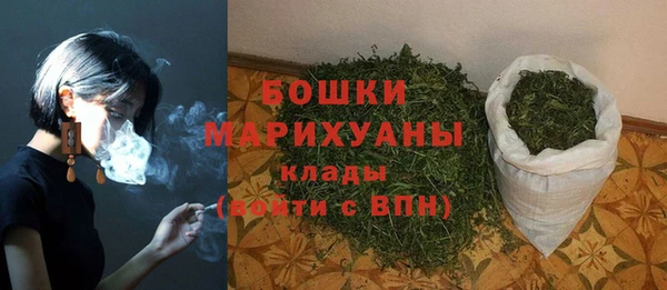 прущие грибы Богородск