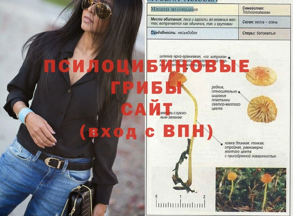 прущие грибы Богородск